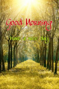 100+ Good Morning Nature Images HD Quotes Wishes - 2021 Collection