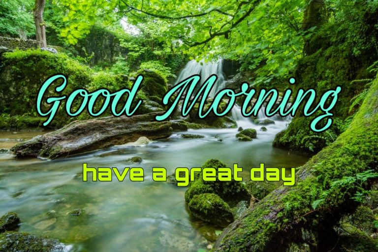 144+ Good Morning Nature Images 2023