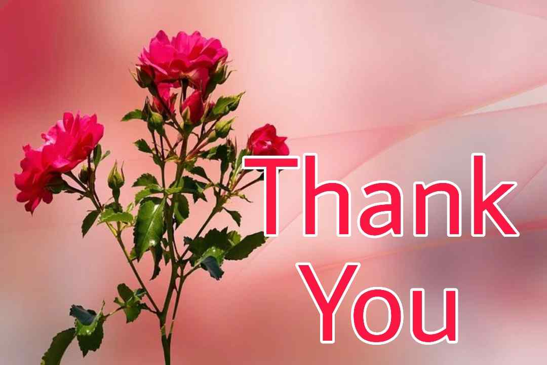 88 Thank You Images for ppt Stock Photos Thank you slide - 2021