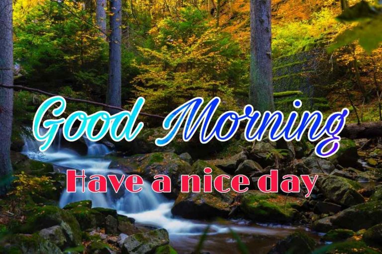 144+ Good Morning Nature Images 2023