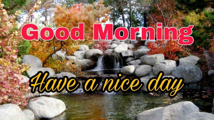 144+ Good Morning Nature Images 2023