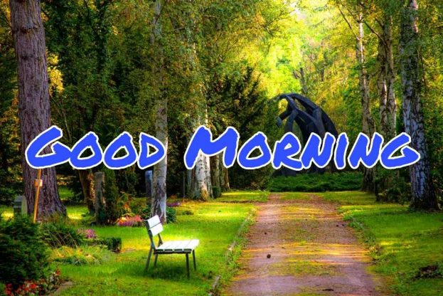 144-good-morning-nature-images-2023