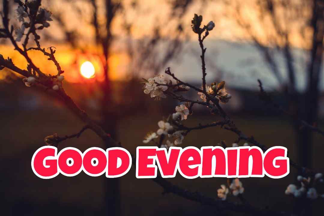 99+ Good Evening Images 2023 - Latest Collection