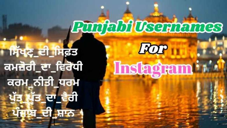 411-best-punjabi-usernames-for-boys-girls-2024